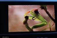 Audi A8 din 2024 cu 42.000 km - oferta AUD195168 - foto 48