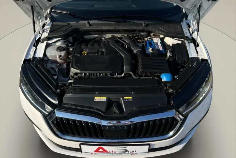 Skoda Octavia din 2021 cu 123.870 km - oferta SKO195580 - foto 40