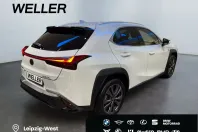Lexus UX din 2026 cu 10 km - oferta LEX195749 - foto 10