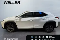 Lexus UX din 2026 cu 10 km - oferta LEX195749 - foto 11