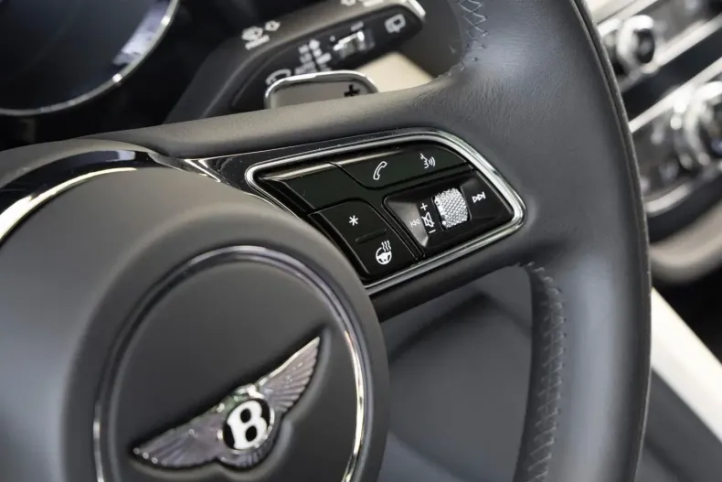 Bentley Bentayga din 2025 cu 8.900 km - oferta BEN195793 - foto 12