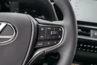 Lexus UX din 2025 cu 40 km - oferta LEX195805 - foto 29