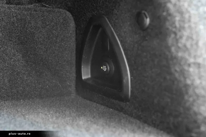 BMW 320 (Seria 3) din 2022 cu 107.854 km - oferta BMW195923 - foto 31