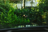 Lamborghini Urus din 2024 cu 16.000 km - oferta LAM196118 - foto 11