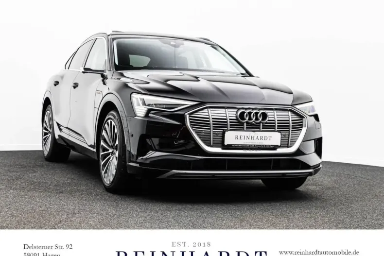 Audi e-tron din 2022 cu 49.199 km - oferta AUD196141 - foto 8