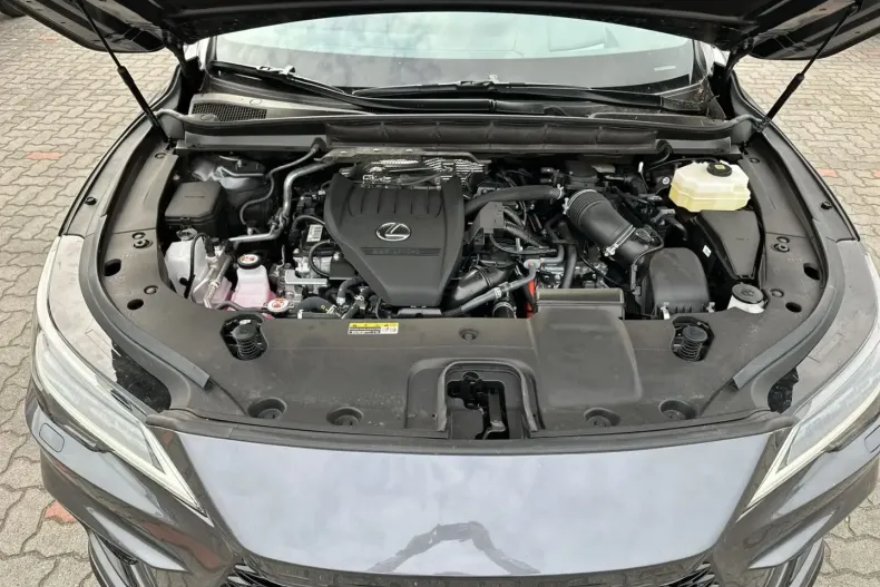 Lexus RX 500 din 2023 cu 31.000 km - oferta LEX196217 - foto 7