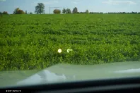 BMW X5 (Seria X) din 2021 cu 87.000 km - oferta BMW196240 - foto 36