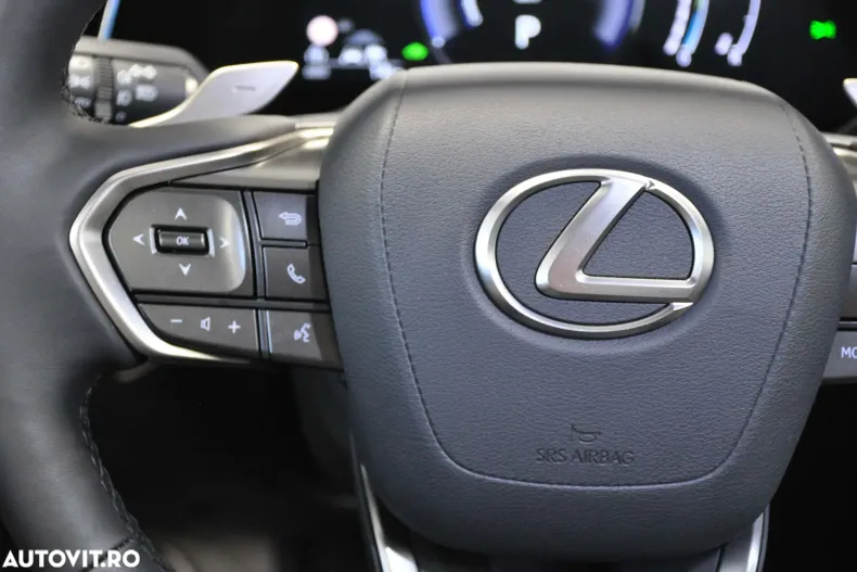 Lexus Seria RX din 2025 cu 60 km - oferta LEX196324 - foto 22