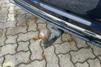 Audi A8 din 2023 cu 100 km - oferta AUD196390 - foto 39