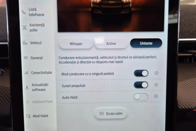 Ford Mustang Mach-E din 2025 cu 2 km - oferta FOR196409 - foto 24