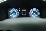 Hyundai Santa Fe din 2022 cu 69.789 km - oferta HYU196552 - foto 19