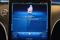 Mercedes-Benz C 200 (Clasa C) din 2024 cu 7.500 km - oferta MER196934 - foto 18