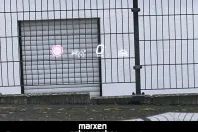 Mercedes-Benz E 220 (Clasa E) din 2023 cu 9.950 km - oferta MER196943 - foto 37