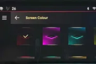 DS Automobiles DS 4 din 2022 cu 145.000 km - oferta DSA197060 - foto 34