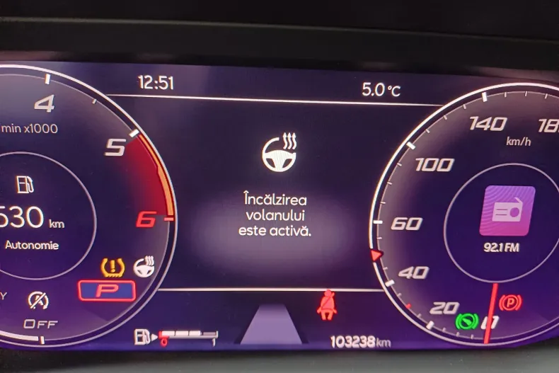 Seat Leon din 2023 cu 103.234 km - oferta SEA197178 - foto 17