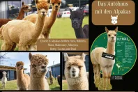 Mercedes-Benz S 580 (Clasa S) din 2023 cu 22.895 km - oferta MER197422 - foto 43