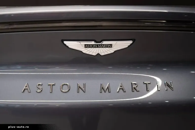 Aston Martin DBX din 2023 cu 8.200 km - oferta AST197524 - foto 15