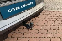 Cupra Formentor din 2021 cu 47.900 km - oferta CUP197927 - foto 22