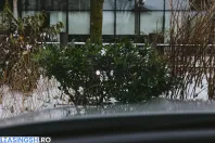 Mercedes-Benz GLE Coupe din 2025 cu 7.900 km - oferta MER198322 - foto 35