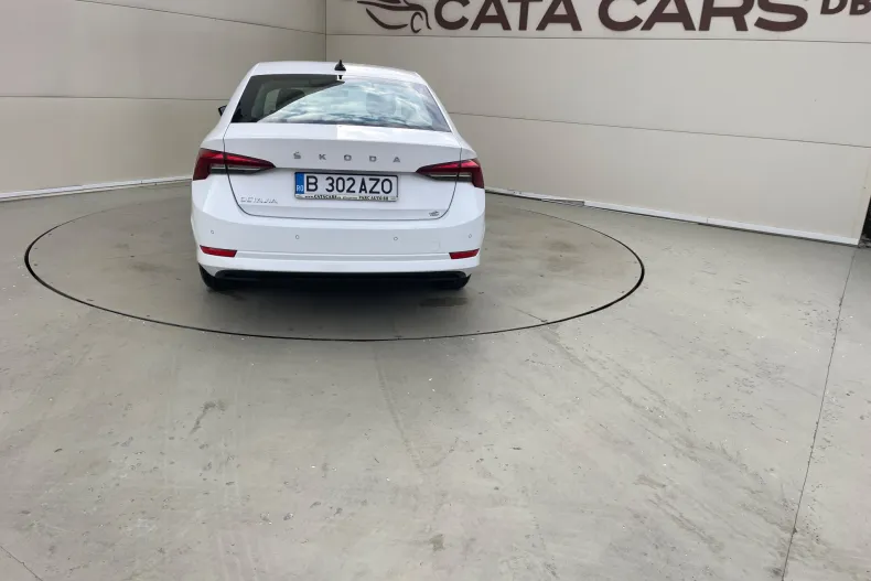 Skoda Octavia din 2021 cu 164.000 km - oferta SKO198705 - foto 13