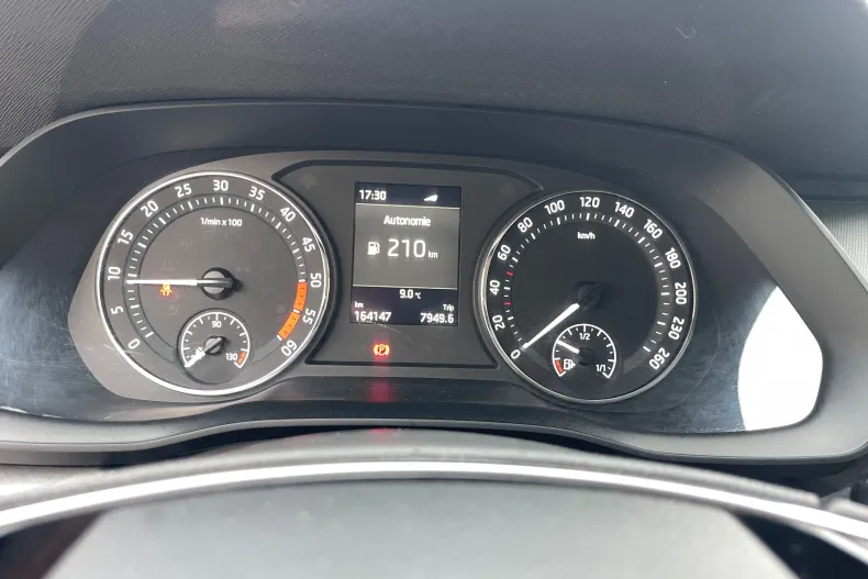 Skoda Octavia din 2021 cu 164.000 km - oferta SKO198705 - foto 39