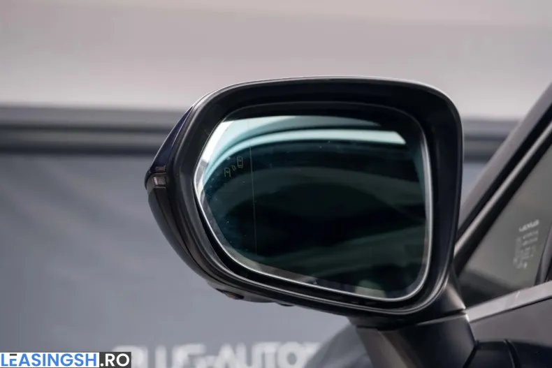 Lexus Seria RX din 2025 cu 30 km - oferta LEX198922 - foto 16