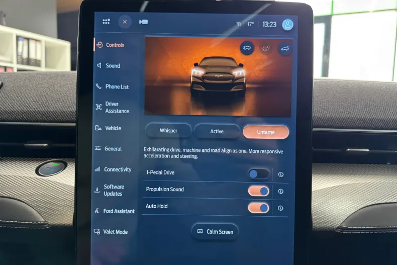 Ford Mustang Mach-E din 2022 cu 54.943 km - oferta FOR198969 - foto 17