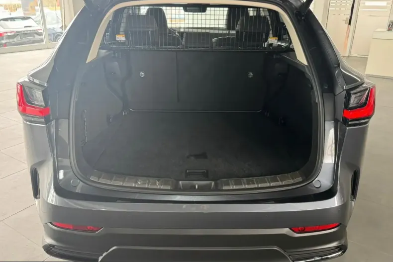 Lexus NX 350h din 2022 cu 78.000 km - oferta LEX199062 - foto 18