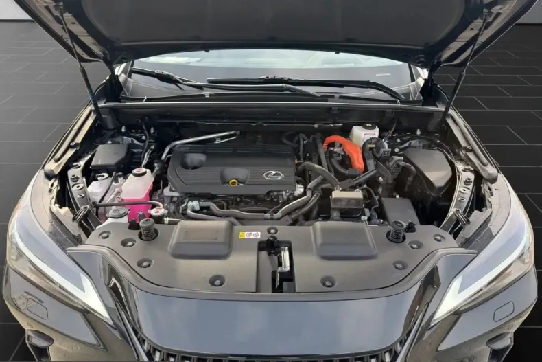 Lexus NX 350h din 2024 cu 31.920 km - oferta LEX199157 - foto 19