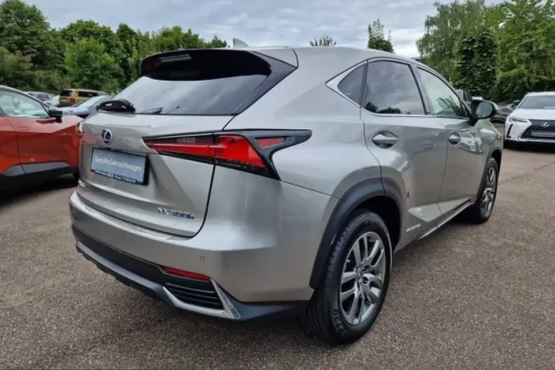 Lexus NX 300 din 2021 cu 65.205 km - oferta LEX199166 - foto 7