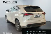 Lexus NX 300 din 2021 cu 33.829 km - oferta LEX199167 - foto 8