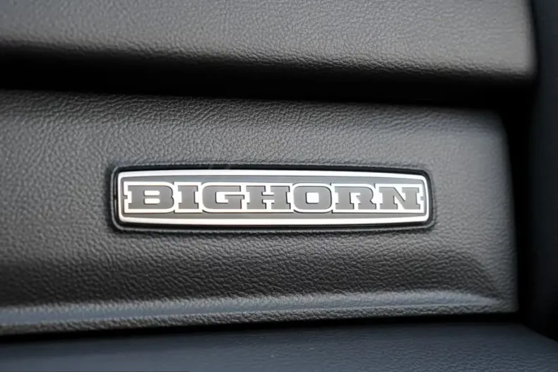 Dodge RAM din 2025 cu 50 km - oferta DOD199606 - foto 19