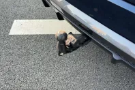 Audi Q8 din 2025 cu 13.425 km - oferta AUD199921 - foto 13