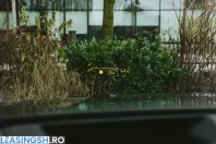 BMW X6 (Seria X) din 2024 cu 50.500 km - oferta BMW200279 - foto 35