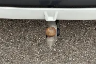 BMW X5 (Seria X) din 2022 cu 70.300 km - oferta BMW200784 - foto 7