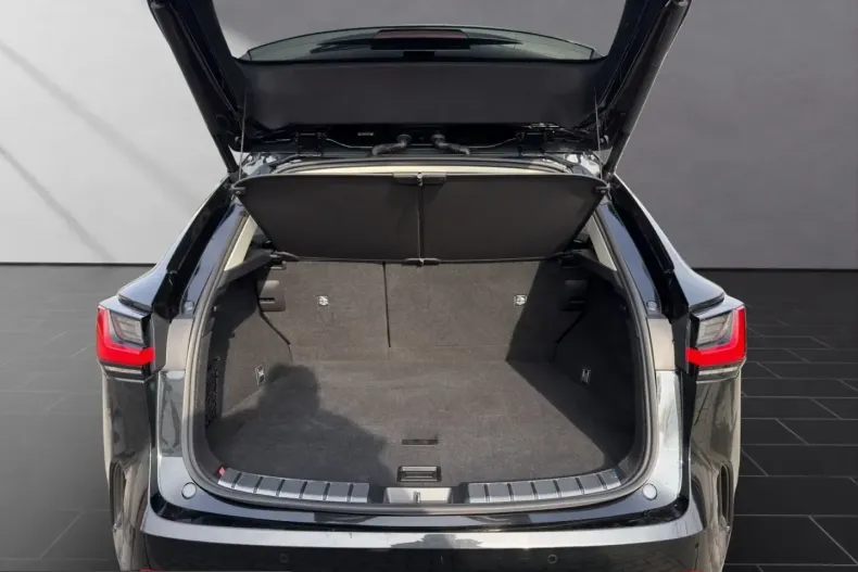 Lexus NX 350h din 2024 cu 31.920 km - oferta LEX201074 - foto 19