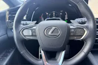 Lexus RX 500 din 2024 cu 32.898 km - oferta LEX201086 - foto 7