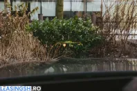 BMW X5 (Seria X) din 2025 cu 9.800 km - oferta BMW201387 - foto 10