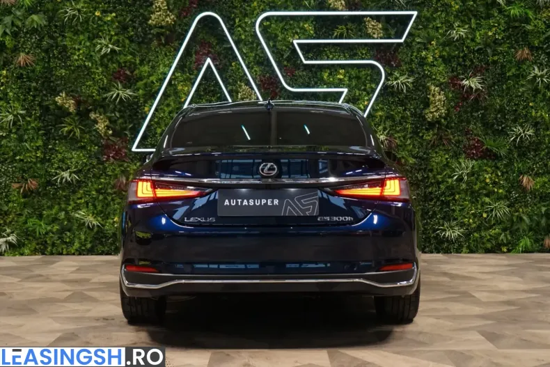 Lexus ES 300 din 2024 cu 33.682 km - oferta LEX201520 - foto 5