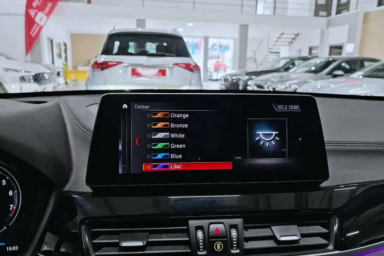 BMW X1 (Seria X) din 2021 cu 119.070 km - oferta BMW202038 - foto 16