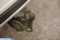 Skoda Octavia din 2022 cu 99.732 km - oferta SKO202401 - foto 27