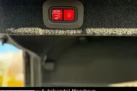 Aston Martin DBX din 2023 cu 61.500 km - oferta AST202941 - foto 33