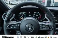 Alfa Romeo Giulia din 2023 cu 20.567 km - oferta ALF202946 - foto 18