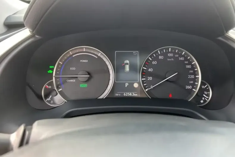 Lexus RX 450 din 2022 cu 76.366 km - oferta LEX203261 - foto 9