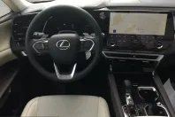 Lexus RX 450 din 2026 cu 100 km - oferta LEX204060 - foto 12