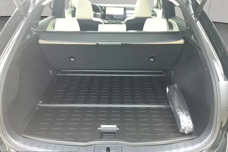 Lexus RX 450 din 2026 cu 100 km - oferta LEX204060 - foto 13