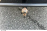 Skoda Kodiaq din 2023 cu 52.586 km - oferta SKO204212 - foto 9