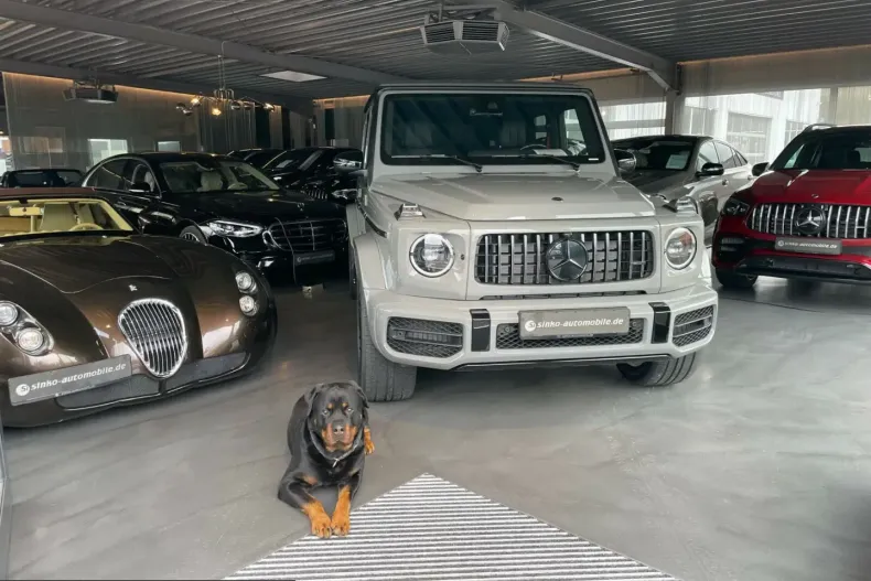 Mercedes-Benz GLS 450 (Clasa GLS) din 2024 cu 47.500 km - oferta MER204461 - foto 25