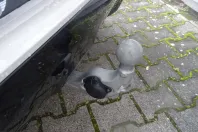 BMW X3 (Seria X) din 2025 cu 10.719 km - oferta BMW204678 - foto 14