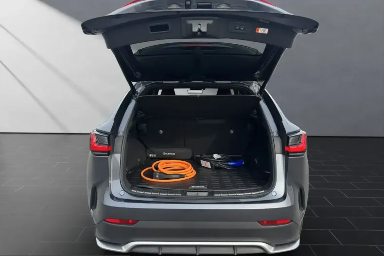 Lexus NX 450h din 2024 cu 49.257 km - oferta LEX204716 - foto 19